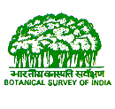 印度植物调查官网