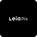 LeiaPix Convert