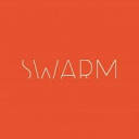 SWARM | Digital Product Consulting | We solve digital