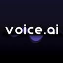 Voice AI