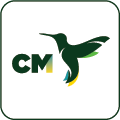 CM Airlines官网