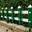 市政交通公路护栏,PVC草坪护栏-护栏厂家
