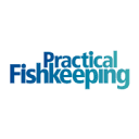 PracticalFish英国实用养鱼杂志