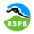 RSPB英国皇家鸟类保护协会